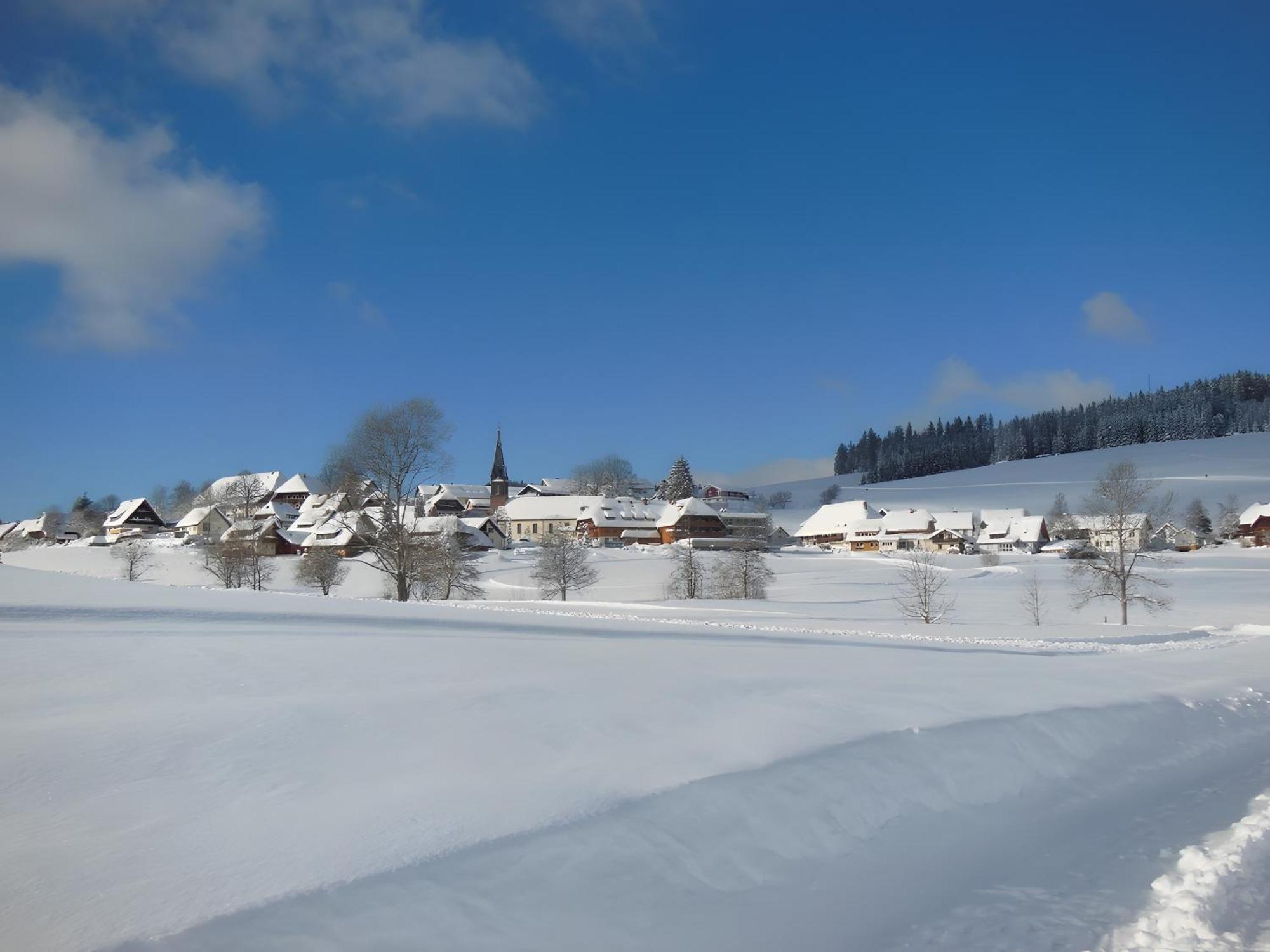 Ferienhaus Kaltenbach Titisee-Neustadt Exteriér fotografie