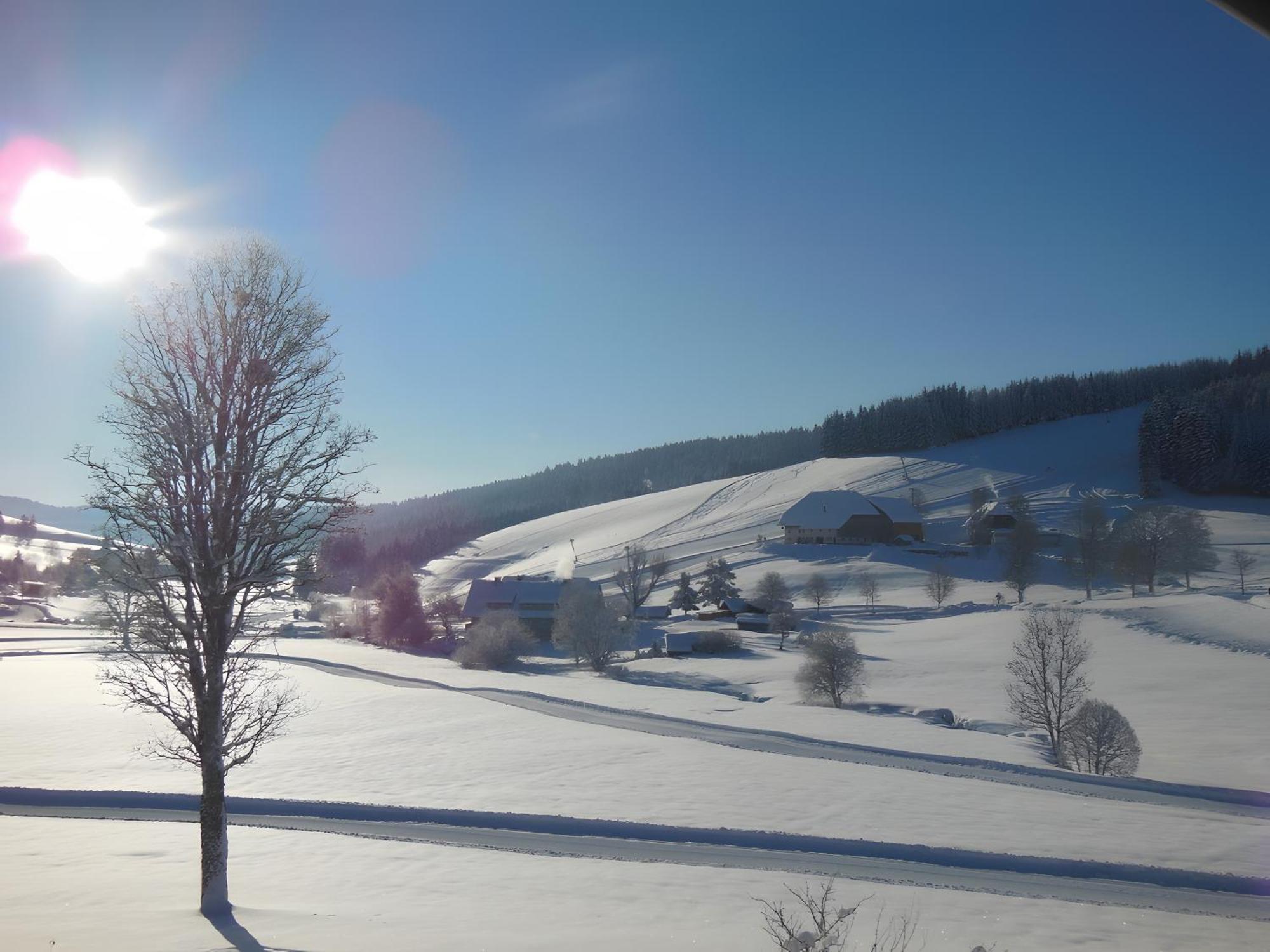 Ferienhaus Kaltenbach Titisee-Neustadt Exteriér fotografie