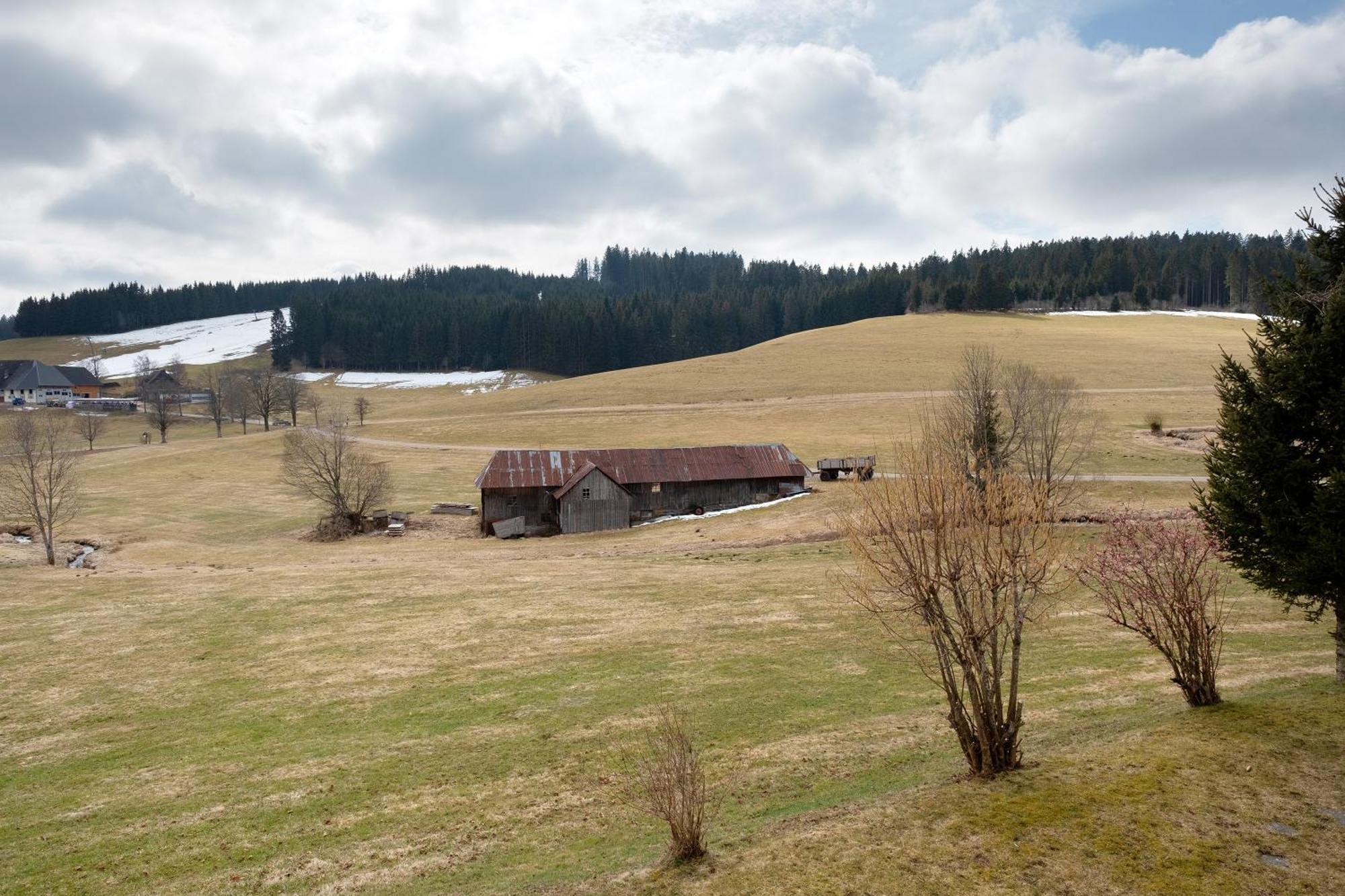 Ferienhaus Kaltenbach Titisee-Neustadt Exteriér fotografie