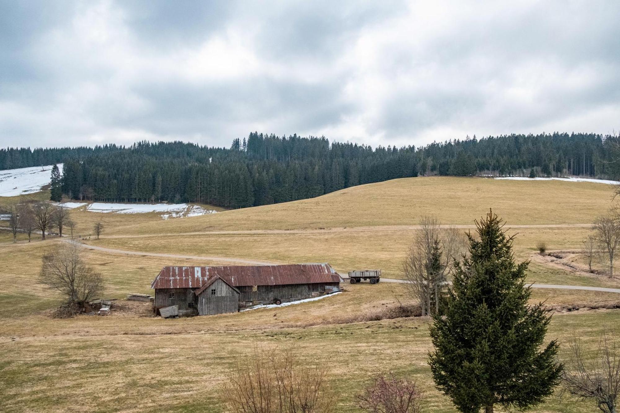 Ferienhaus Kaltenbach Titisee-Neustadt Exteriér fotografie